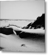 Pismo Dune #1 Metal Print