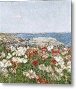 Poppies On The Isles Of Shoals Metal Print