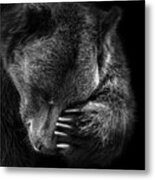 Portrait Of Bear In Black And White Metal Print