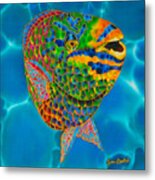 Queen Parrotfish Metal Print