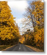 Road In Autumn Forest #1 Metal Print