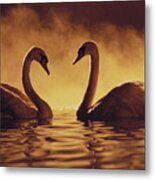 Romantic African Swans #1 Metal Print