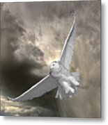 Snowy Owl In Flight #1 Metal Print