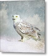 Snowy Owl #2 Metal Print