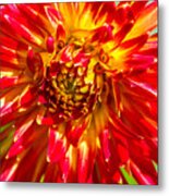 Spring Bloom #1 Metal Print