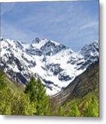 Spring In French Alps Metal Print