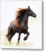 Strut #1 Metal Print