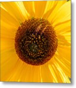 Sunflower #1 Metal Print