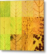 Swatches - Autumn Leaves Inspired By Gerhard Richter Metal Print