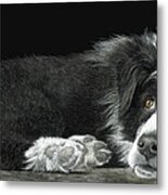 Tell Me More About Sheep Metal Print