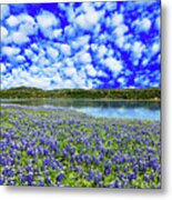 Texas Hill Country Metal Print