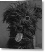 The Dog Tongue Is Speaking. Listen #1 Metal Print