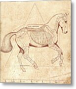 The Horse's Canter Revealed #1 Metal Print