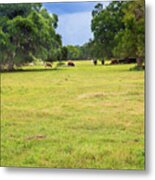 The Meadow #1 Metal Print