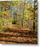 The Outlet Trail #1 Metal Print