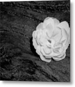 Tombstone Rose #1 Metal Print