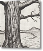 Tree #1 Metal Print