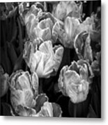 Tulips #1 Metal Print