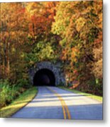 Tunnel Through Autumn #1 Metal Print