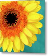 Vibrance #2 Metal Print