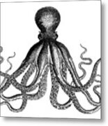 Vintage Octopus #2 Metal Print