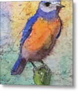 Western Bluebird Metal Print