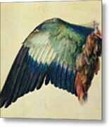 Wing Of A Blue Roller Metal Print