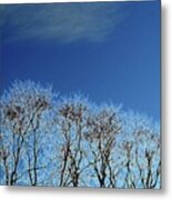 Winter Trees And Sky 3  #1 Metal Print