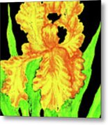 Yellow Iris, Painting #1 Metal Print