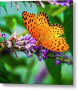 Butterfly And Flower Closeup #10 Metal Print