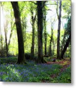 New Forest - England #100 Metal Print