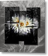 1082 Metal Print