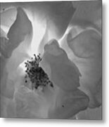 Roses #11 Metal Print