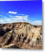 Arizona Petrified Forest #12 Metal Print