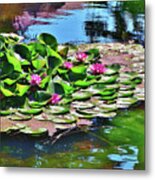 12 Lily Pond With Water Reflections Metal Print