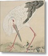 Birds Of Japan In The 19th Century #13 Metal Print