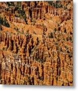 Bryce Canyon Utah #15 Metal Print