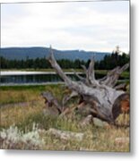 Flaming Gorge National Park #18 Metal Print