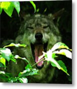The Wild Wolve Group A #19 Metal Print