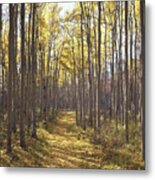 1m3910-v Path In Forest Metal Print