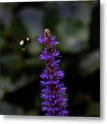 Bee #2 Metal Print