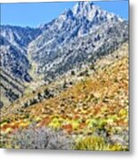 Bountiful Desert #2 Metal Print