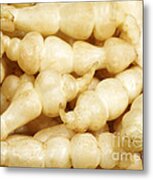 Chinese Artichokes Stachys Affinis #2 Metal Print