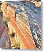 Colorful Wave Of Sandstone In Valley Of Fire #3 Metal Print