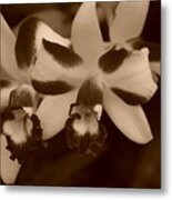 Double Orchid #2 Metal Print