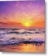 Evening Flight #2 Metal Print