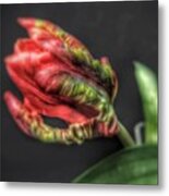 @gillespieflorists Thanks Sarah #2 Metal Print