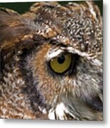 Great Horned Owl #2 Metal Print