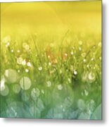 Here Comes The Sun #2 Metal Print