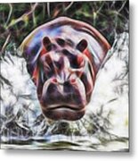 Hippo #2 Metal Print